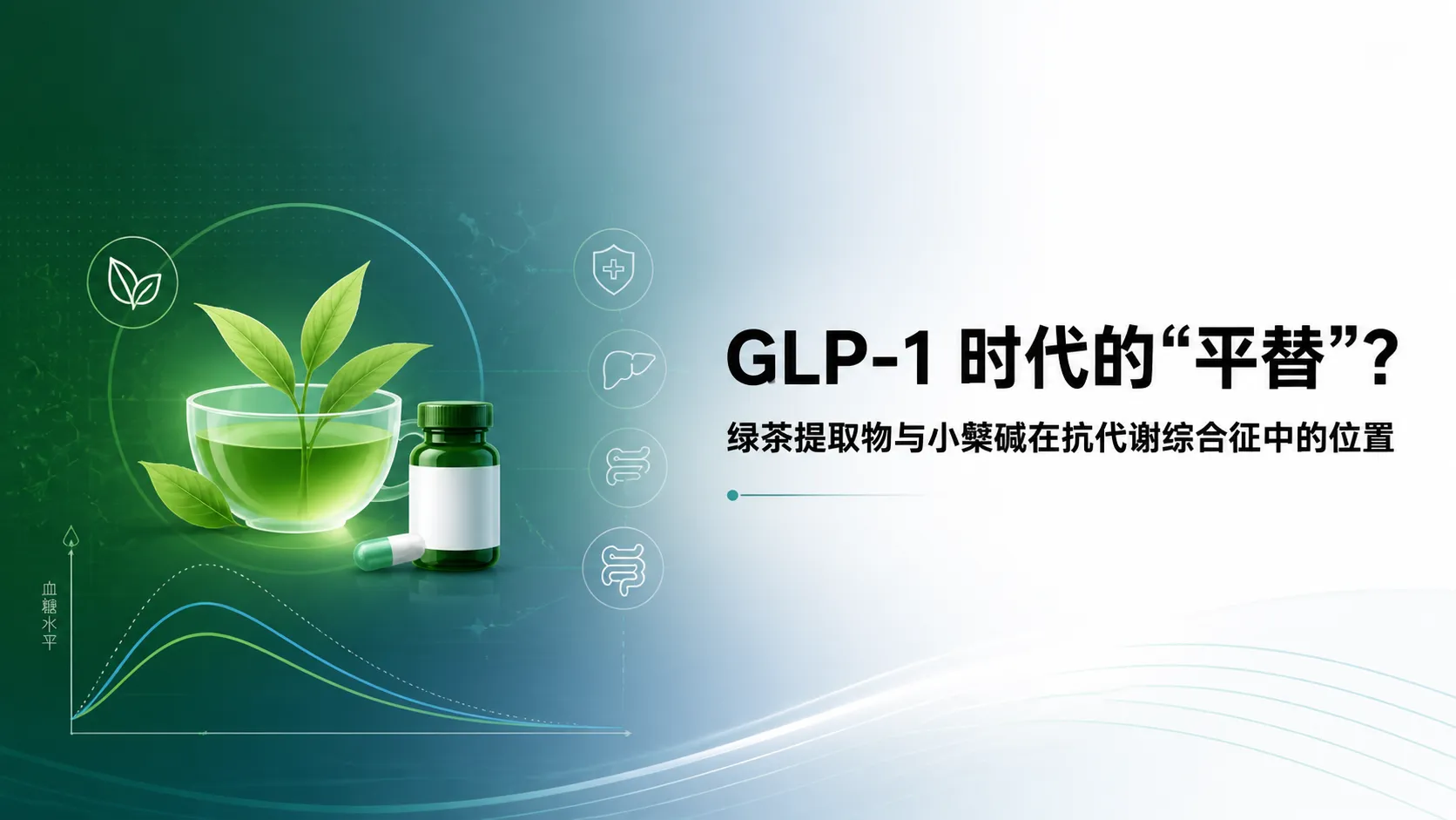 GLP-1 时代的“平替”？绿茶提取物（EGCG）与小檗碱在抗代谢综合征中的位置