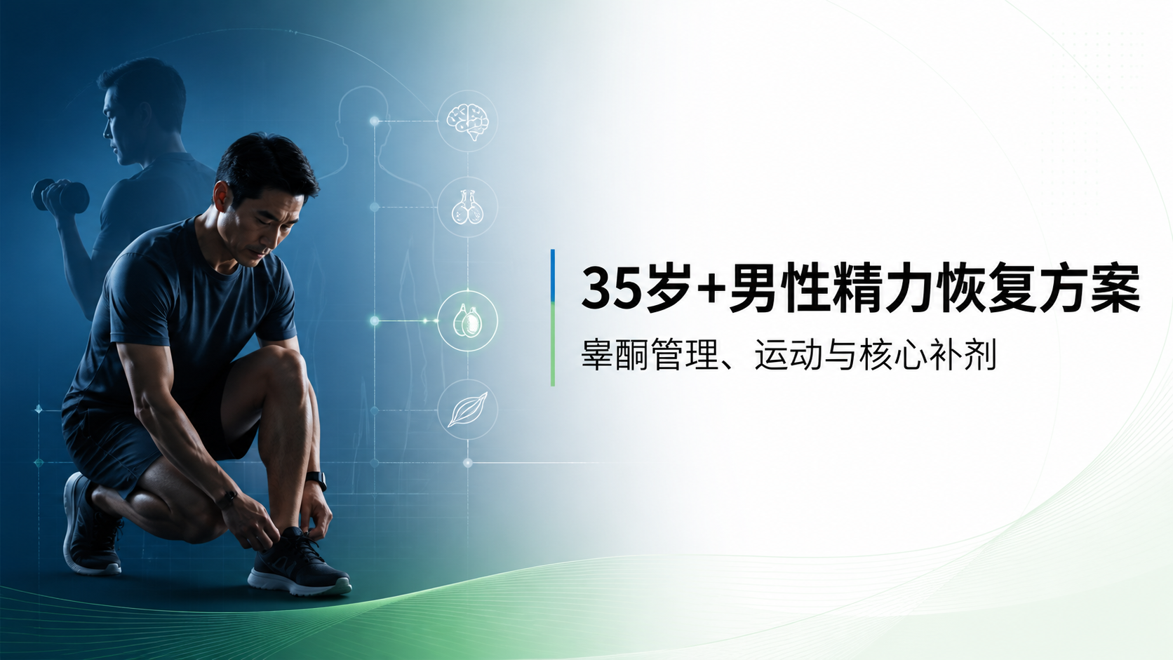 35岁+男性精力恢复方案：睾酮管理、运动与核心补剂