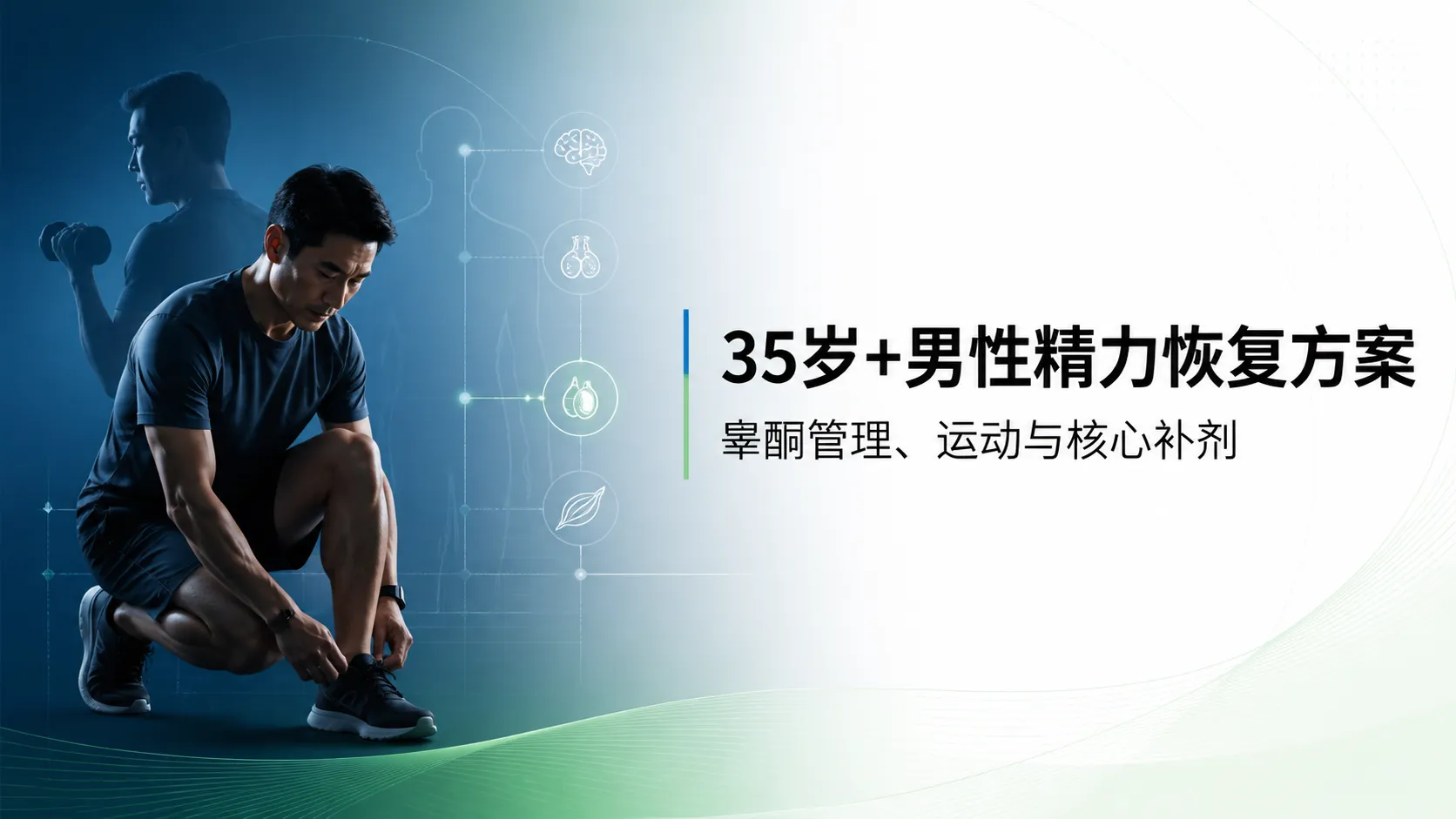 35岁+男性精力恢复方案：睾酮管理、运动与核心补剂