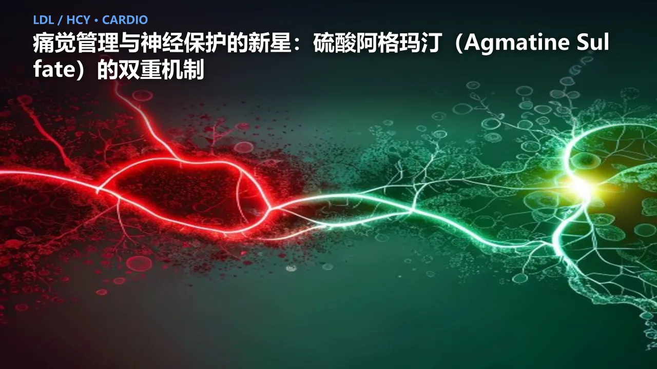 痛觉管理与神经保护的新星：硫酸阿格玛汀（Agmatine Sulfate）的双重机制