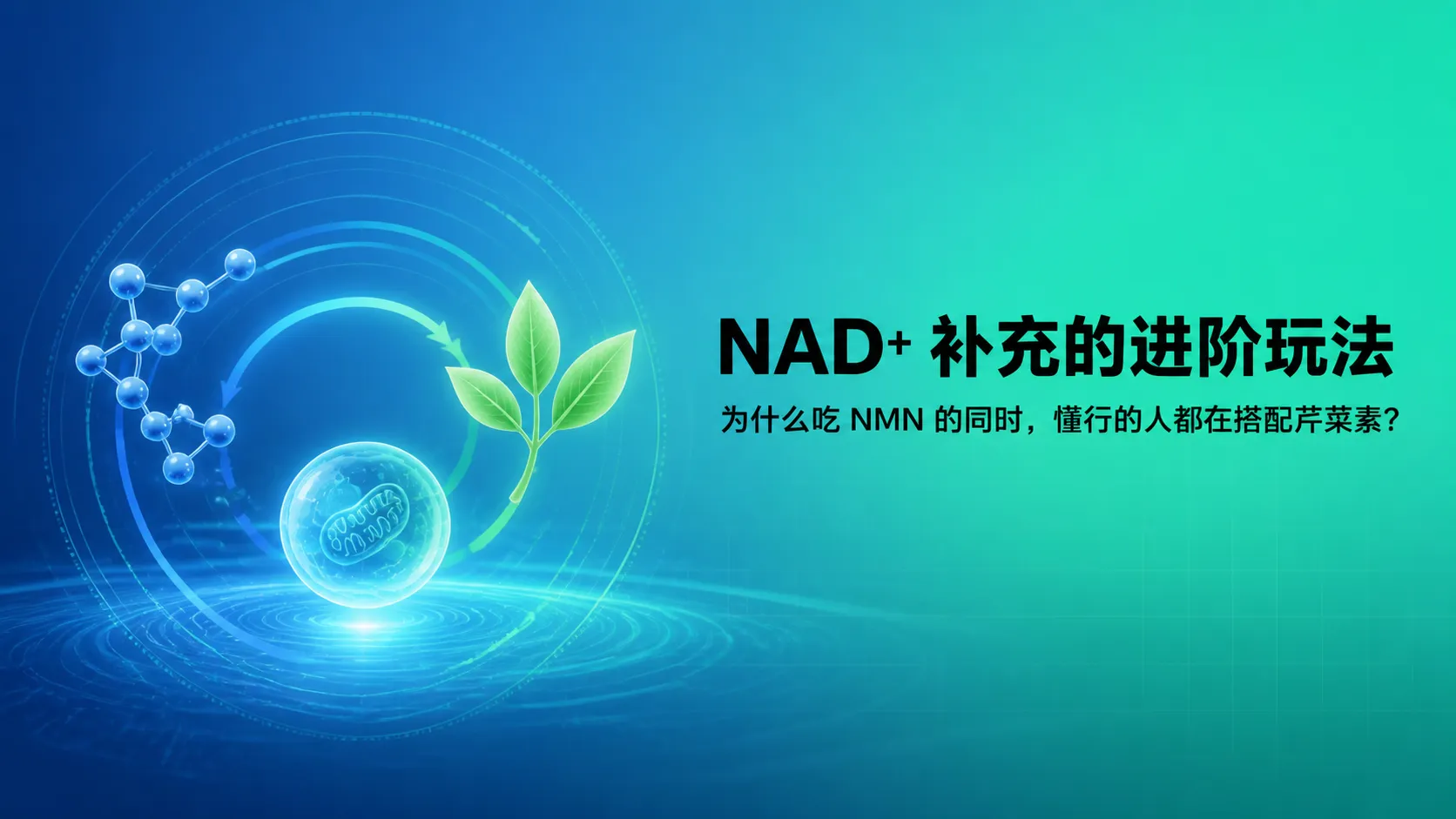 NAD+ 补充的进阶玩法：为什么吃 NMN 的同时，懂行的人都在搭配芹菜素（Apigenin）？
