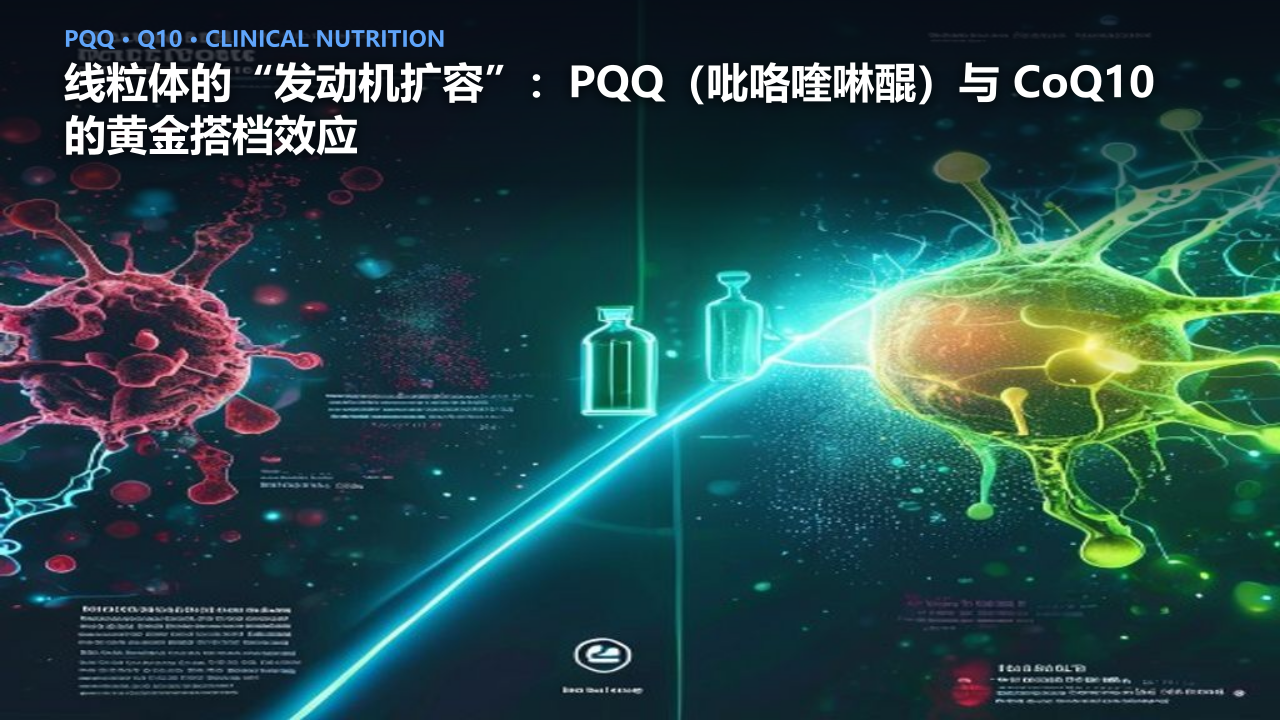 线粒体的“发动机扩容”：PQQ（吡咯喹啉醌）与 CoQ10 的黄金搭档效应