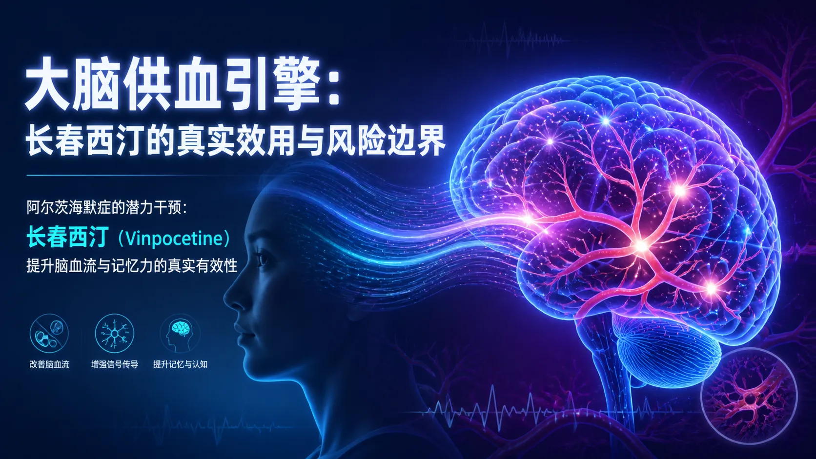 阿尔茨海默症的潜力干预：长春西汀（Vinpocetine）提升脑血流与记忆力的真实有效性
