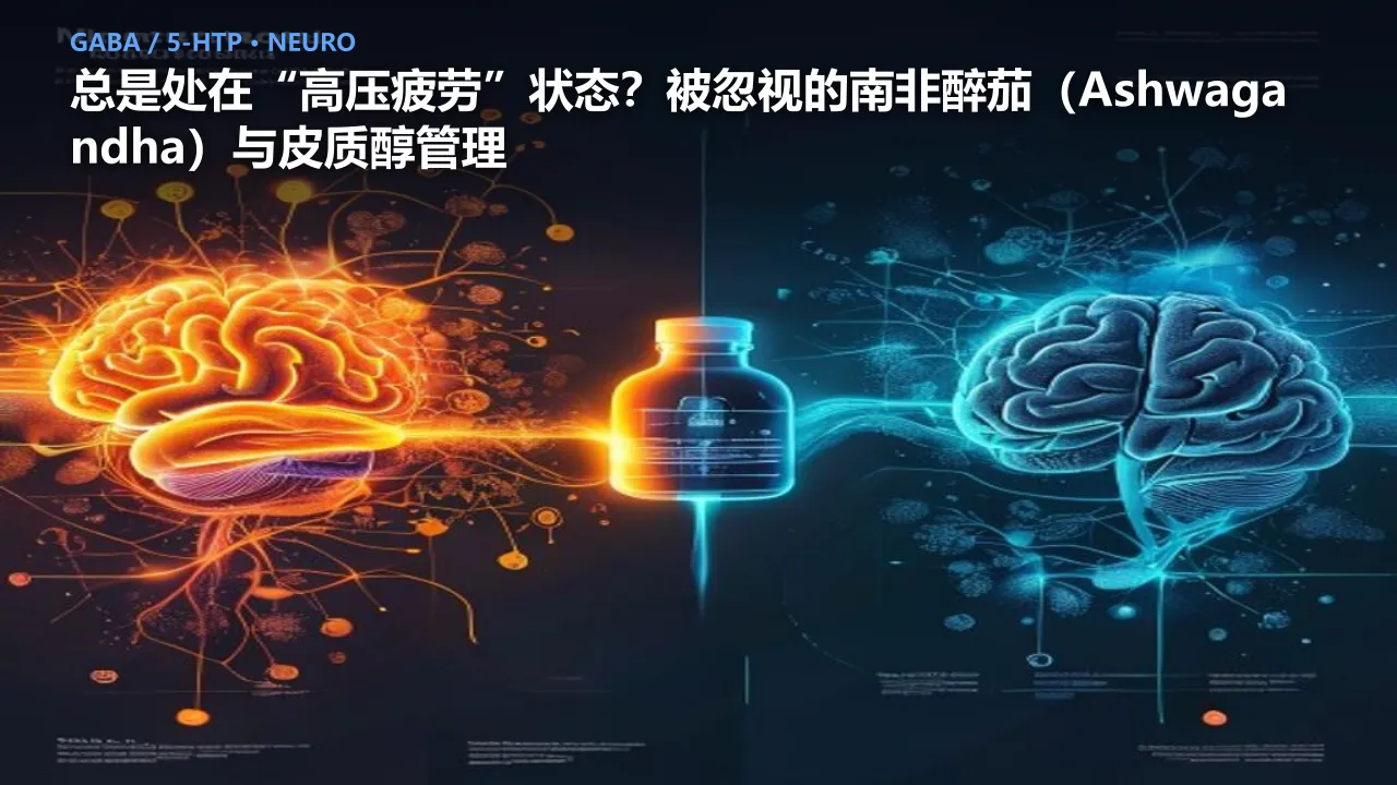 总是处在“高压疲劳”状态？被忽视的南非醉茄（Ashwagandha）与皮质醇管理