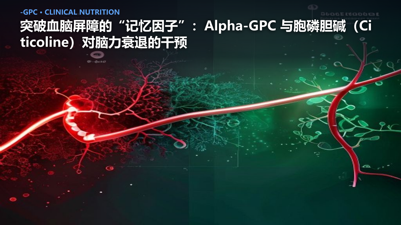 突破血脑屏障的“记忆因子”：Alpha-GPC 与胞磷胆碱（Citicoline）对脑力衰退的干预