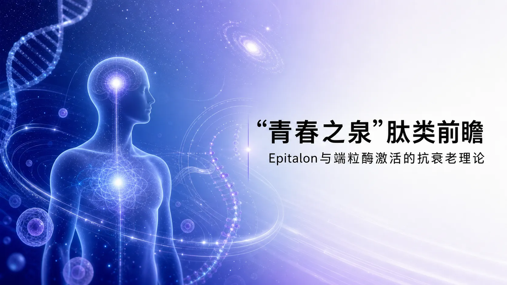“青春之泉”肽类前瞻：Epitalon（依匹塔隆）与端粒酶激活的抗衰老理论