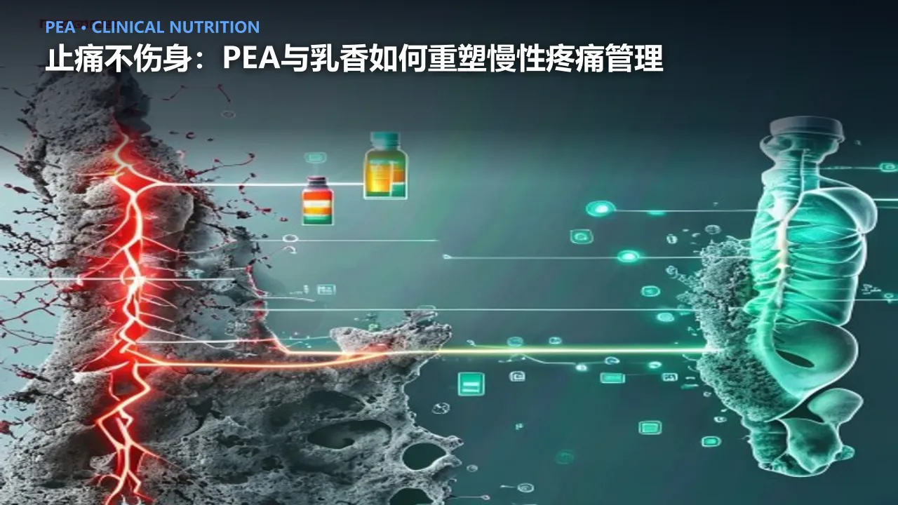 止痛不伤身：PEA与乳香如何重塑慢性疼痛管理
