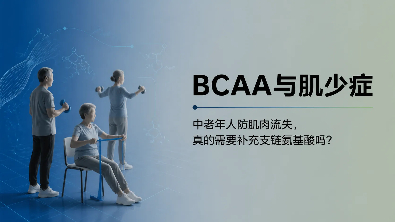 BCAA与肌少症：中老年人防肌肉流失，真的需要补充支链氨基酸吗？