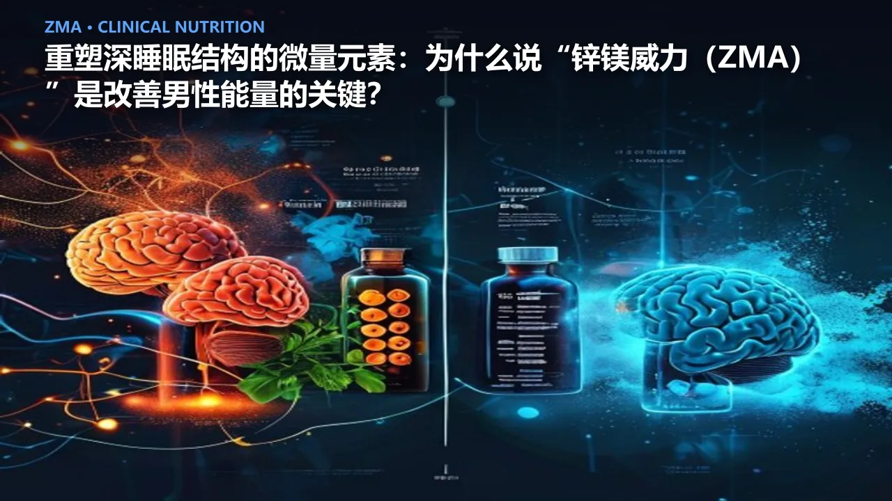重塑深睡眠结构的微量元素：为什么说“锌镁威力（ZMA）”是改善男性能量的关键？