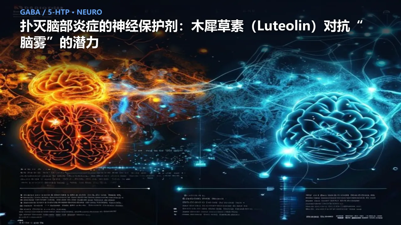扑灭脑部炎症的神经保护剂：木犀草素（Luteolin）对抗“脑雾”的潜力