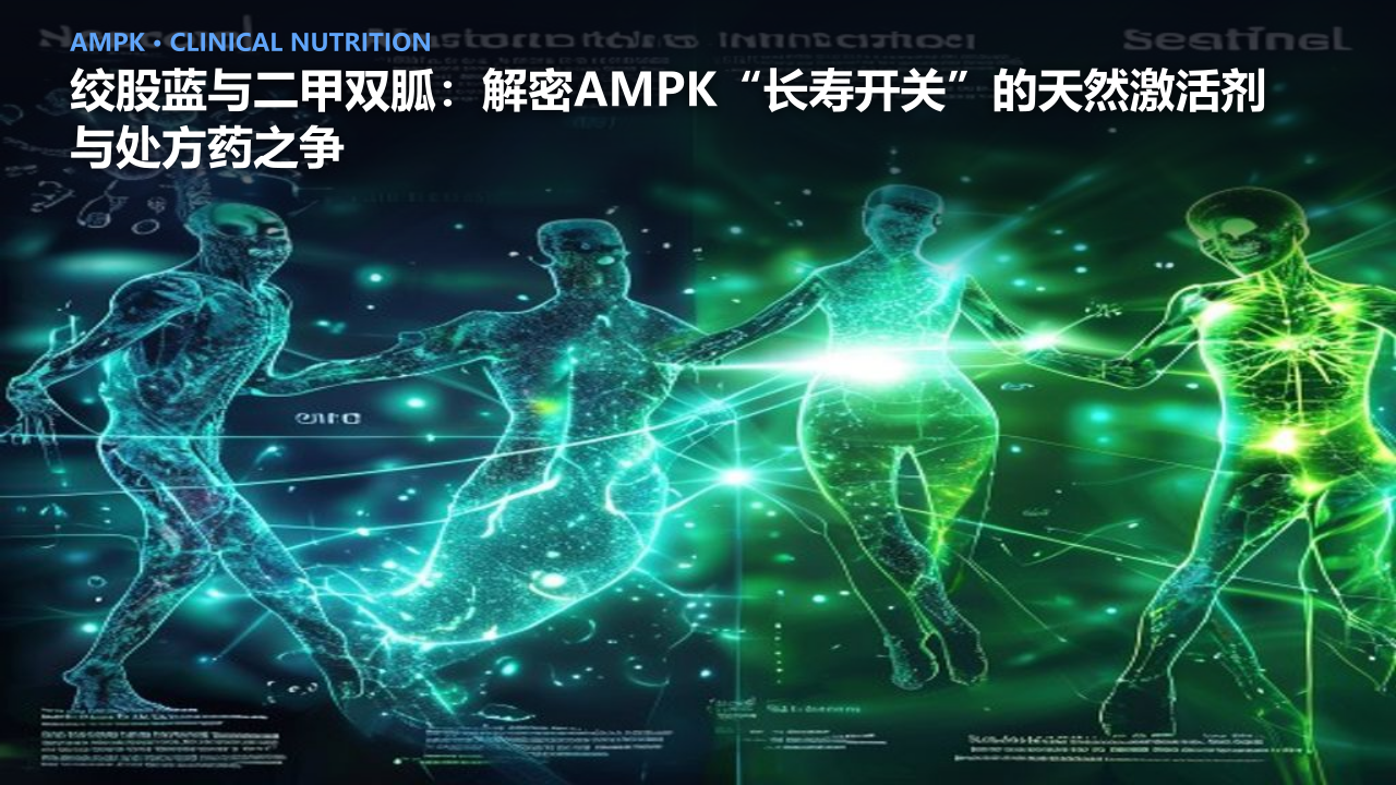 绞股蓝与二甲双胍：解密AMPK“长寿开关”的天然激活剂与处方药之争