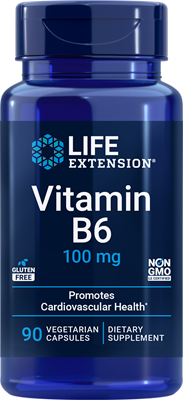 沿寿LIFE - 维生素B6 100毫克 90粒素食胶囊